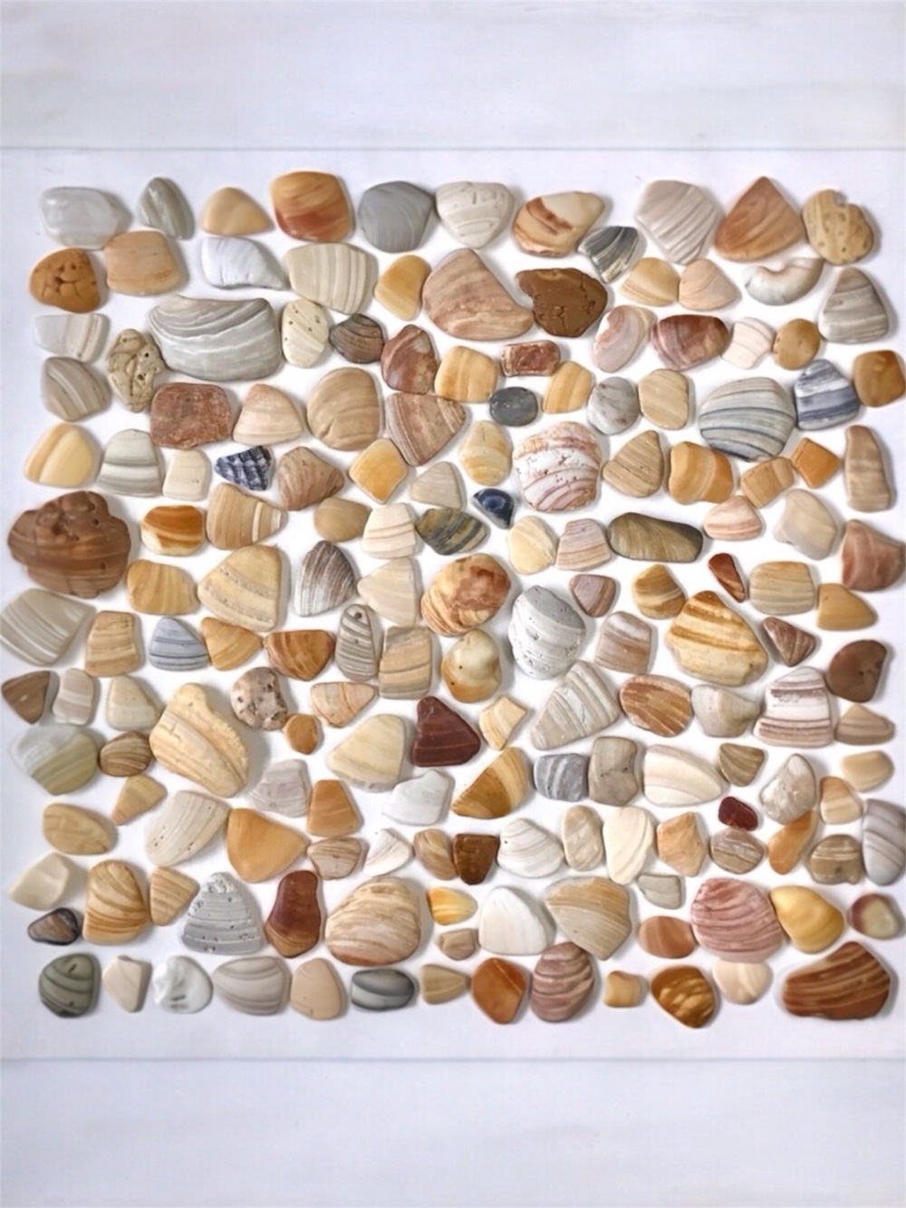 Seashell FRAGMENTS 170 Clam Shell Smooth Mosaic Pieces Jewelry Art Craft Decor